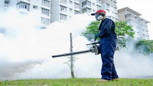 Tun dezinsectie fum tantari si alti daunatori smoke Bucuresti Ilfov impotriva tantarilor gandaci soareci sobolani certificari si autorizatii firma curatenie Tun dezinsectie fum tantari si alti daunatori smoke Bucuresti Ilfov impotriva tantarilor gandaci soareci sobolani certificari si autorizatii firma curatenie