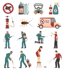 Dezinsectie deratizare Sector 6 Bucuresti sobolani soareci gandaci muste furnici albine pest control daunatori rozatoare solutii dezinsectie spray Dezinsectie deratizare Sector 6 Bucuresti sobolani soareci gandaci muste furnici albine pest control daunatori rozatoare solutii dezinsectie spray