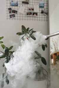 Dezinsectie fumigare fumigation Bucuresti Bucharest firma authorized personnel disinfection apartment pest control bugs rats Dezinsectie fumigare fumigation Bucuresti Bucharest firma authorized personnel disinfection apartment pest control bugs rats