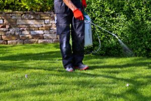 Daunatori gradina capuse tantari insecte Bucuresti firma autorizata authorized firm spray solutions pest control weed buruieni Dezinsectie gradina capuse tantari insectie Bucuresti firma autorizata authorized firm spray solutions pest control weed buruieni